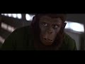 Ape is Enough. Beneath the Escape from the Conquest of the Battle for The Planet of the Apes.