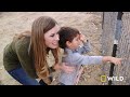 Baby Mamas: Unlikely Animal Friends (Full Episode) | Nat Geo Wild