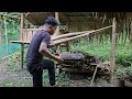 Harvest Bamboo Shoots At The Beginning Of The Selling Season, The Couple's Daily Life- Lý Thị Nhâm