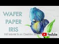 Wafer Paper Spring Flowers Compilation