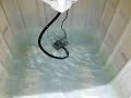 Porch Pond Aquaponic System for Koi and Goldfish