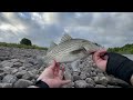 This Spillway Was LOADED With Fish!! (Easy Limit)