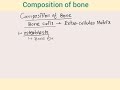 Composition of Bone, Formation of Bony skeleton, Blood supply of long bone and fracture Healing