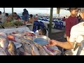 SPOT MAKANAN LAUT (SEAFOOD) TERBAIK KOTA KINABALU, SABAH, MALAYSIA