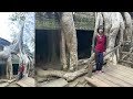 TOMB RAIDER: CHASING LARA CROFT AT TA PROHM #SIEMREAP #CAMBODIA #132