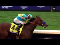 American Pharoah: A Horse of A LIfetime