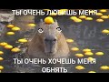 ТЫ ОЧЕНЬ ЛЮБИШЬ МЕНЯ