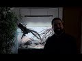 90CM AQUARIUM- BIOTOPE/NATURE STYLE HYBRID- FULL TUTORIAL VIDEO
