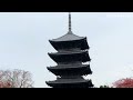 vol.142 紅葉2023 東福寺＆東寺編