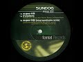 Sundog - Super K9 (Vinyl Syndicate Remix)