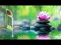 Relaxing Music Relieves Stress, Anxiety and Depression - Soothing Piano and Water Sound, Calm Music