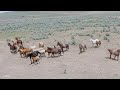 Out on the Range for the Summer