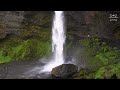 Beautiful Relaxing Music - Stop Overthinking, Stress Relief Music, Sleep Music, Calming Music