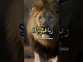 الحمد لله والشكر لله لاتنسو الإشتراك في القناة وتفعيل زر الجرس 👇👇👇👇👇👇