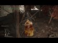 helping in elden ring: I guess crossing a bridge is hard for him