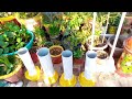 DIY project with PVC pipe/how to make PVC plant stand/