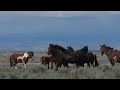 Storm Clouds and Wild Horses at McCullough Peaks in Wyoming by Karen King