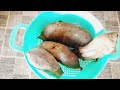 Sweet potato recipe | steem shakarkandi commerical recipe@najafkirecipevlog3348