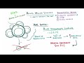 Acute Myeloid Leukemia | Clinical Presentation