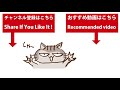 トレーナーさん大好き♥ラビーちゃん【2019年12月12日14:00　鴨川シーワールド　シャチパフォーマンス　ダイジェスト】