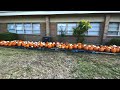 Pumpkin patch walkthrough (St. Mark UMC ) October 2022