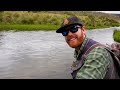 Catching Huge Trout Numbers - Snowy Mountains Australia - Remote Inaccessible River (almost)!