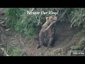 Otis The King of Katmai Brooks Falls, see description...