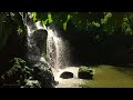 【4K】Walking in a Tropical Paradise with a Beautiful Waterfall | Nature Ambience Sounds ASMR