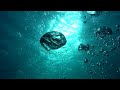 Freediving below Poseidon's temple │  Cape Sounion  │  2024