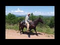 Horse Camping - Home to Doc Rogers 24 mile ride Cherokee National Forest