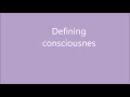 Defining Consciousness