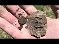 Most insane metal detecting in colonial PA I ever seen 3 GWs in one county HUGE draped bust silver