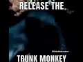 Trunk Monkey