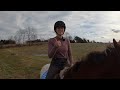 HOW TO RIDE A HORSE (EASY BEGINNERS GUIDE)
