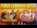 Dueto Bertin y Lalo, Los Armadillos De La Sierra - Puros Corridos Exitos - Mix Para Pistear 2023
