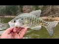 Awesome Crappie/Panfish Bait (Eye Hole Jig Head)