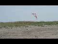 How many of these sport kite tricks can you do?