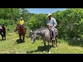 Part 2 : Trail Training- How to have a successful first trail ride