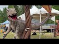 INTERNATIONAL CHAINSAW CARVING COMPETITION 2024 || canada life