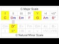 Borrowed Chords - How To Spot & Switch Scales