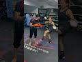 Muay Thai Kick