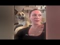 CLASSIC Dog and Cat Videos😻🐶1 HOURS of FUNNY Clips🤣