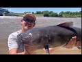 Fairford Roadside Drum | Lockport Swimbait Catfish