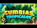 🔆CUMBIAS TROPICALES MIX 🦜VIEJITAS TROPICALES🎺ACAPULCO TROPICAL, TROPICAL FLORIDA, LOS KARKIS...