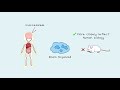 Growing Organs | Stem cells, Organoids and 3D Bioprinting.