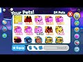 My pets in pet sim