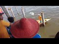 boat racing 15hp