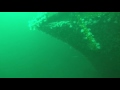 HMS ROYAL OAK  Northern Diving Group, Wreck.