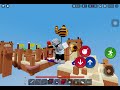 bedwars 1v1 with a freind