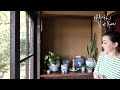 #48 ～築100年以上～ 葉山の家の観葉植物事情 Growing Plants in An Old Traditional Japanese House